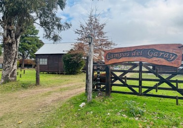 CABAÑAS EN CAMPO DEL MEDIO 